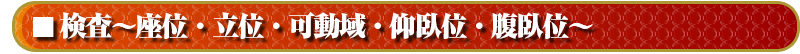 検査~坐位・立位・可動域・仰臥位・うつ伏せ