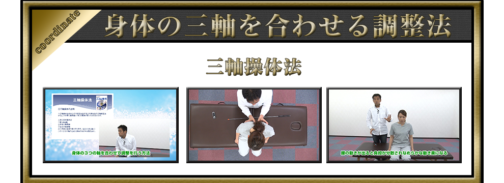 理学療法士の為の手技パワーアッププログラムＤＶＤ＜骨盤・下肢編