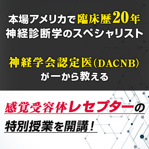 日本製 レセプターアプローチ DVDのみ | metodoicm.com.br